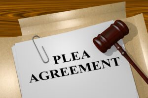 Close-up of legal documents outlining the terms of a criminal plea deal.